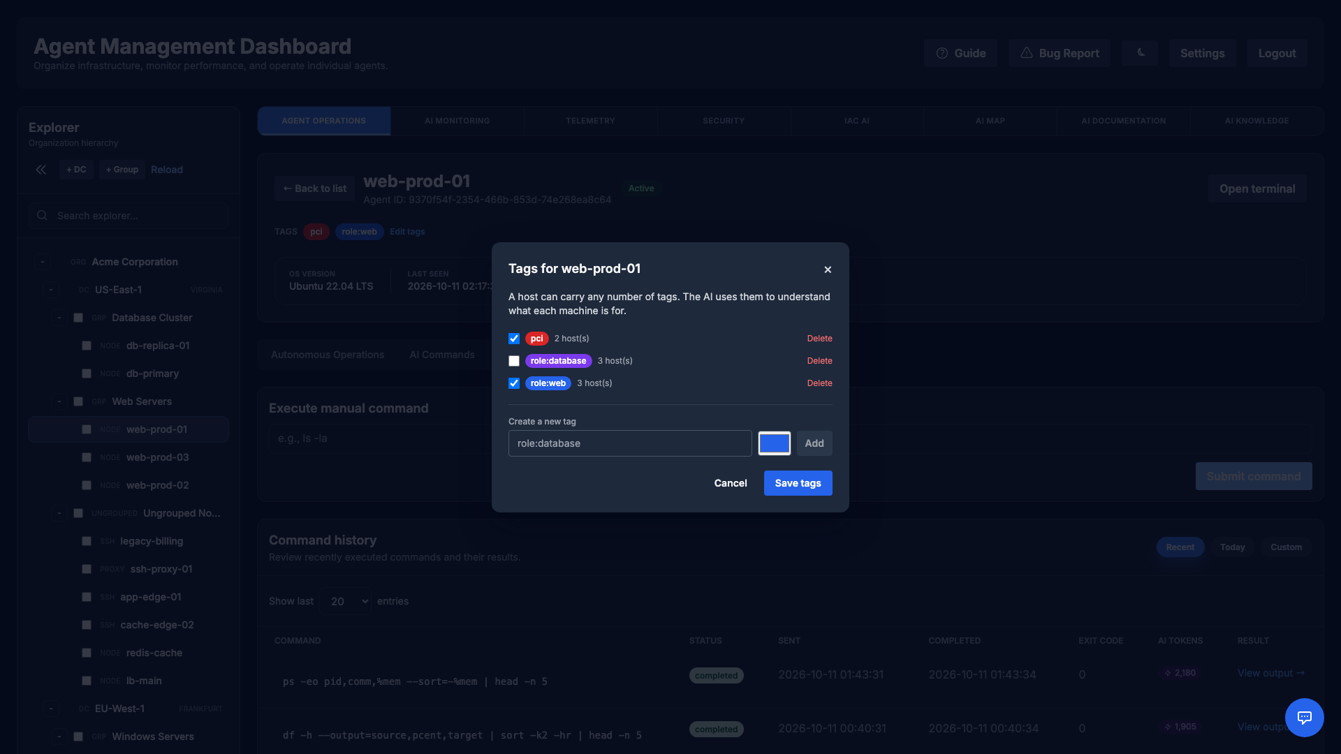 The tag editor for a host, listing the organization's tags with host counts and a field to create a new one